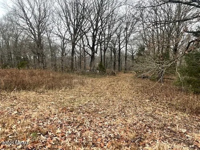 a view of a yard with trees