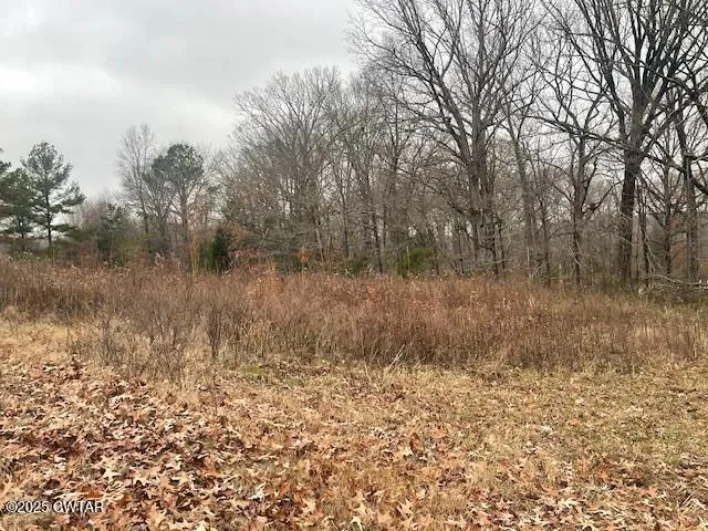 a view of a dry yard with trees