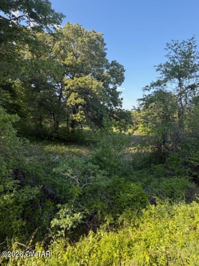 0 McBride Cemetery Road Sardis, TN 38371 - Photo 29 of 41 a view of a lush green space