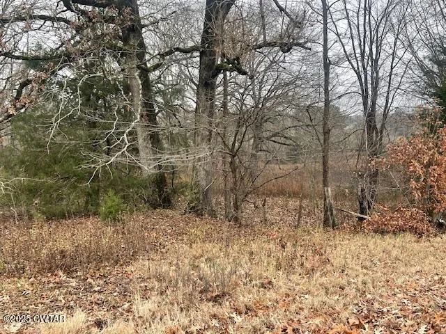 a big yard with lots of bushes