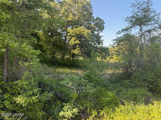 0 McBride Cemetery Road Sardis, TN 38371 - Photo 30 of 41 a view of a lush green forest