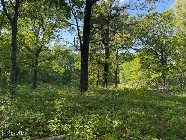 0 McBride Cemetery Road Sardis, TN 38371 - Photo 3 of 41 a big yard with lots of green space and trees