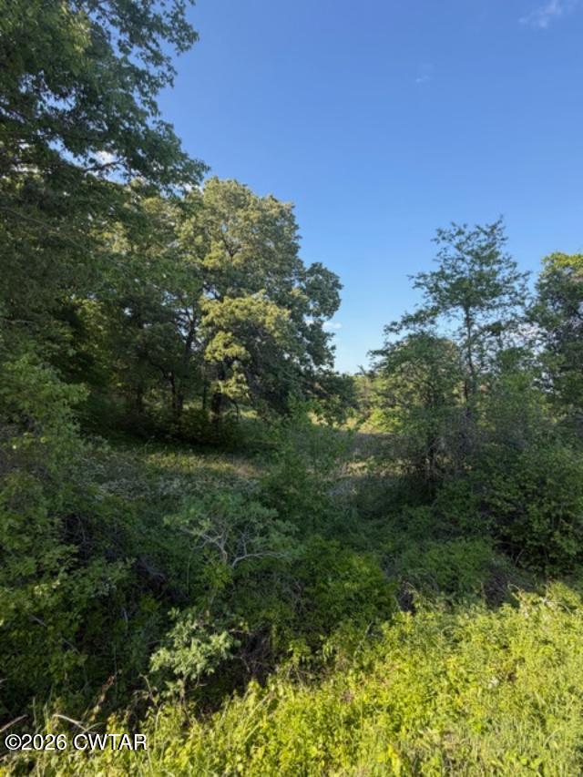 0 McBride Cemetery Road Sardis, TN 38371 - Photo 31 of 41 a view of a garden
