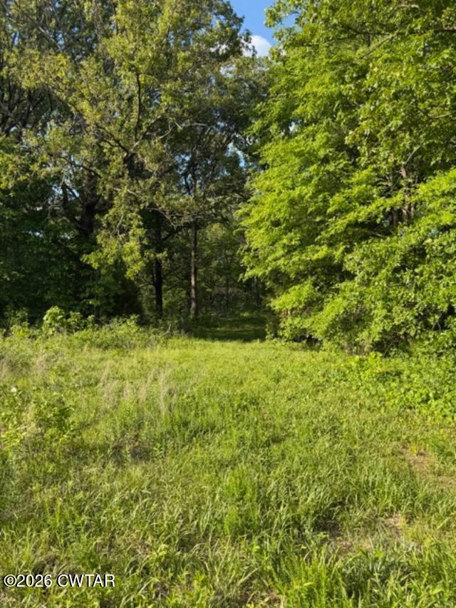 0 McBride Cemetery Road Sardis, TN 38371 - Photo 32 of 41 a view of yard with green space