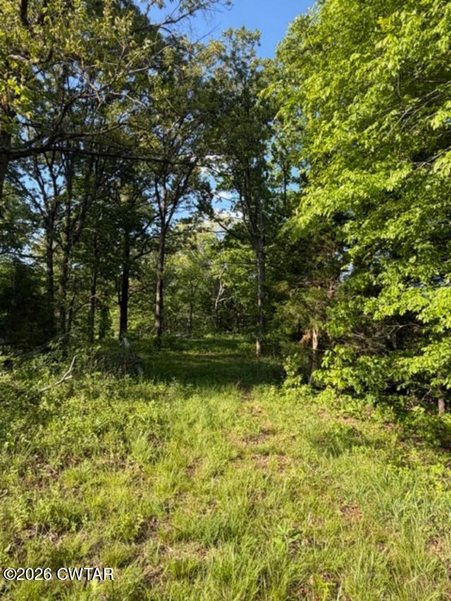 0 McBride Cemetery Road Sardis, TN 38371 - Photo 33 of 41 a view of garden with trees