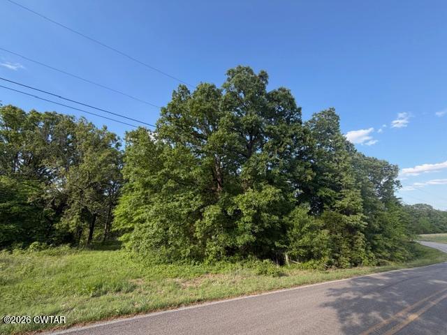 0 McBride Cemetery Road Sardis, TN 38371 - Photo 35 of 41 a backyard of a house with lots of green space