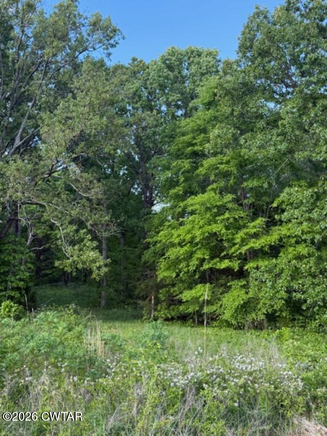 0 McBride Cemetery Road Sardis, TN 38371 - Photo 36 of 41 a view of a lush green forest