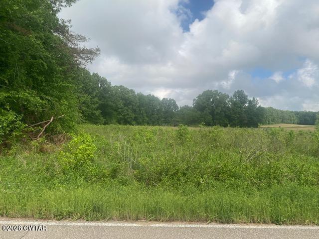 0 McBride Cemetery Road Sardis, TN 38371 - Photo 39 of 41 a view of a lake with a big yard