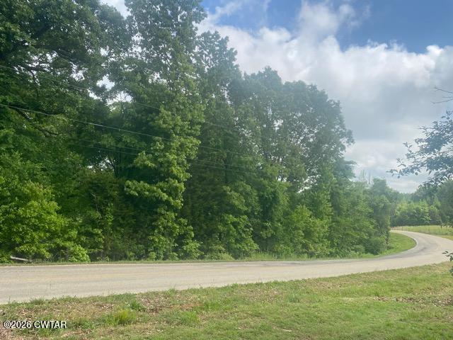 0 McBride Cemetery Road Sardis, TN 38371 - Photo 40 of 41 a view of a yard