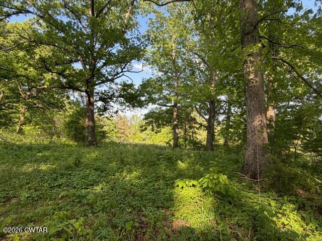 0 McBride Cemetery Road Sardis, TN 38371 - Photo 4 of 41 a view of a yard with a tree