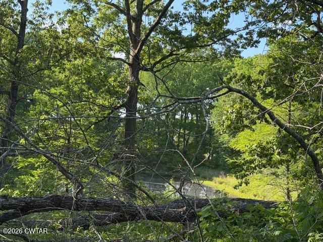 0 McBride Cemetery Road Sardis, TN 38371 - Photo 5 of 41 a backyard of a house with lots of green space