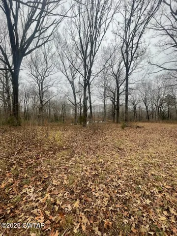 a backyard of a house with large trees