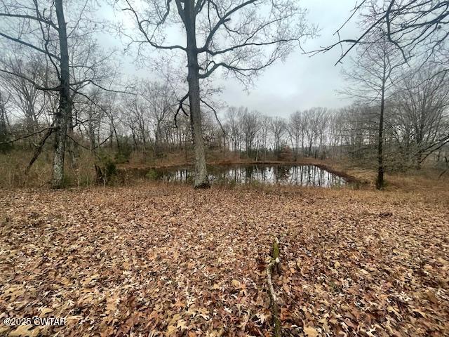0 McBride Cemetery Road Sardis, TN 38371 - Photo 6 of 41 a backyard of a house with lots of green space