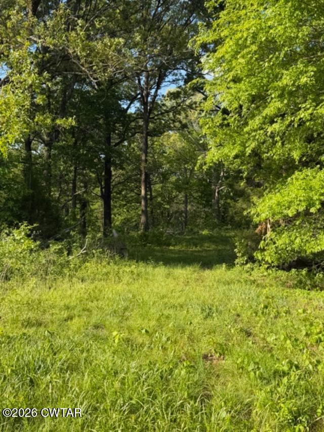0 McBride Cemetery Road Sardis, TN 38371 - Photo 8 of 41 a view of outdoor space and trees