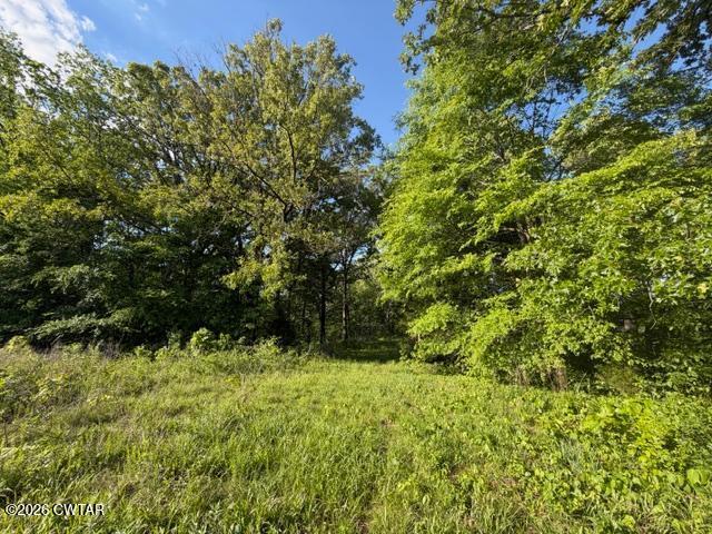 0 McBride Cemetery Road Sardis, TN 38371 - Photo 9 of 41 a view of outdoor space and green space