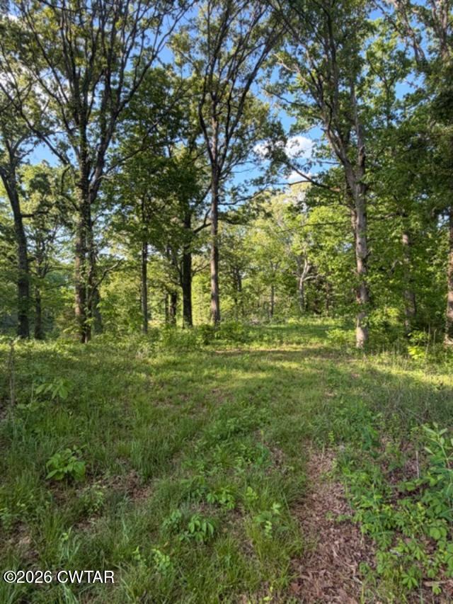 0 McBride Cemetery Road Sardis, TN 38371 - Photo 10 of 41 a view of outdoor space and yard