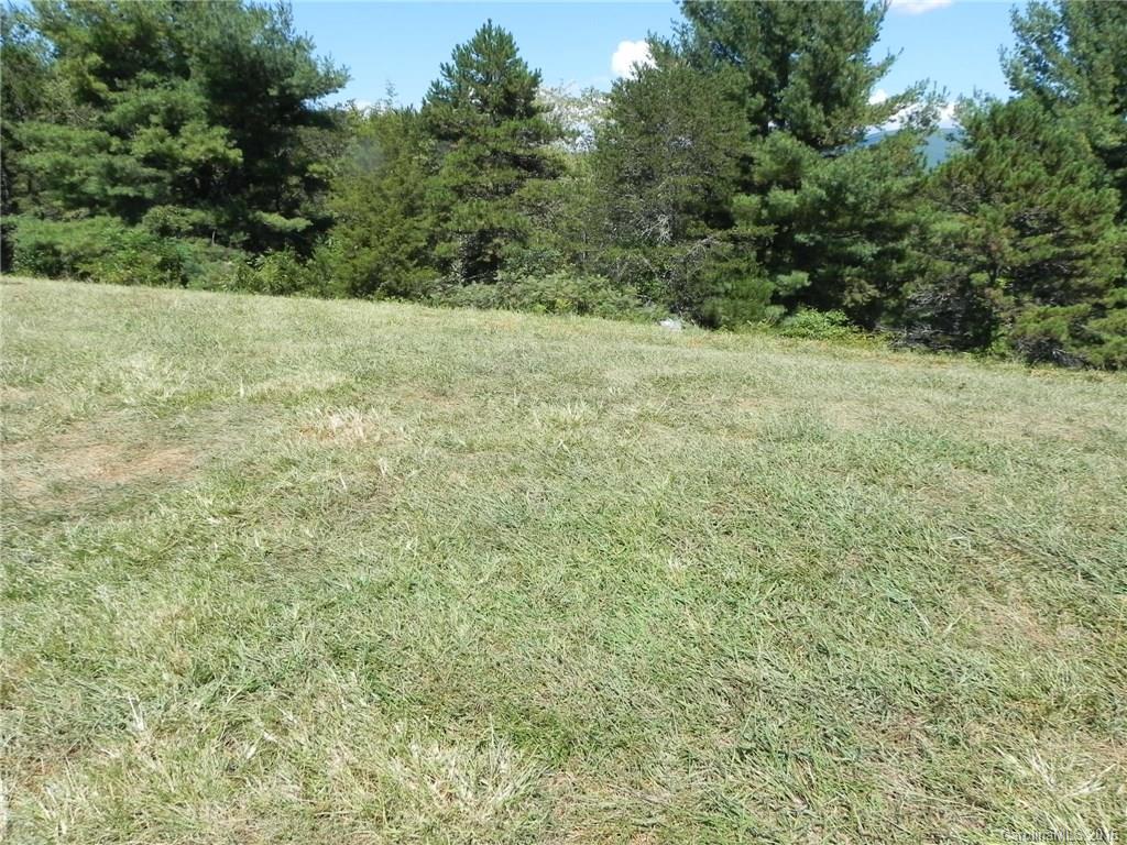 83 Waterhill Way Fletcher, NC 28732 - Photo 3 of 10