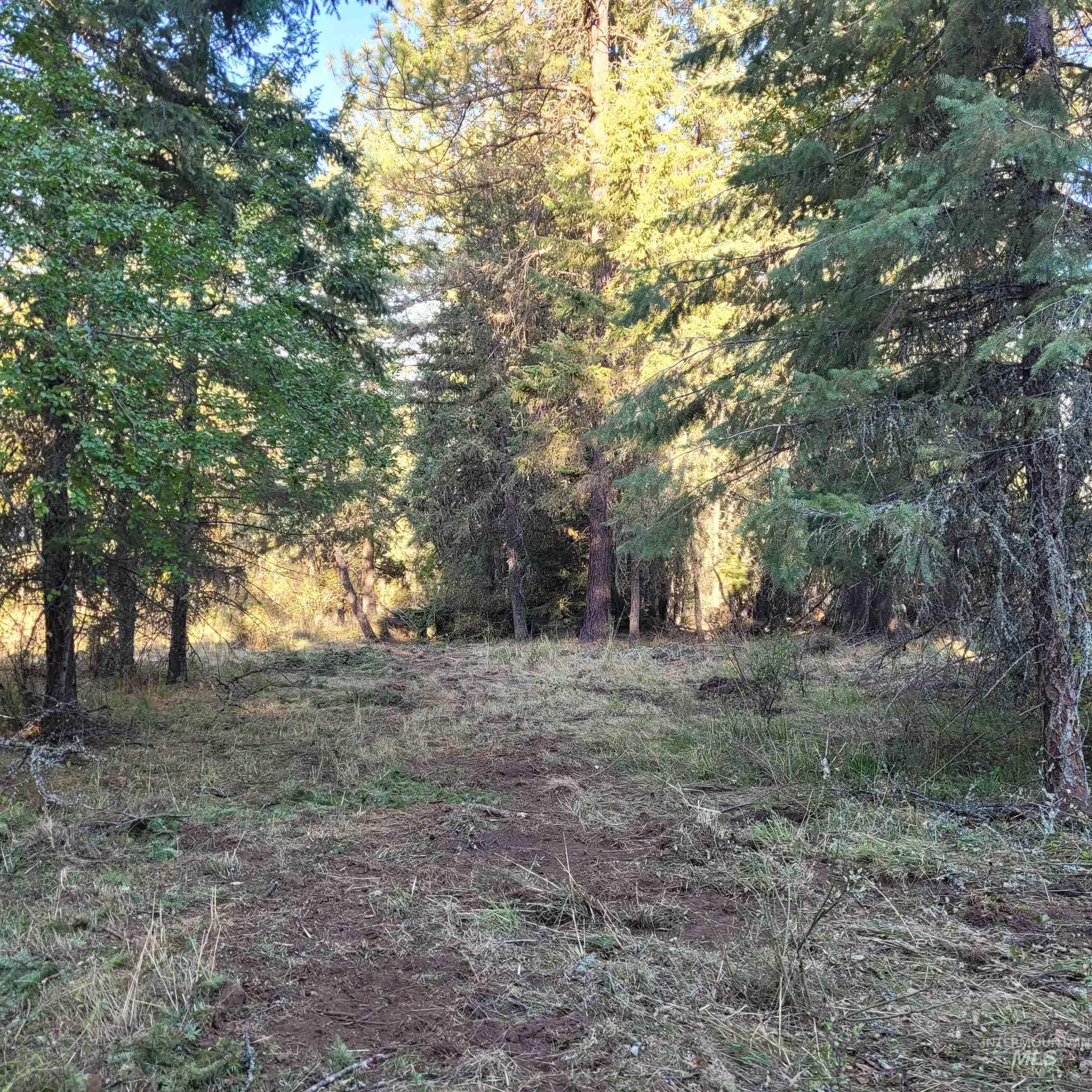 Parcel A Elk City Wagon Road Stites, ID 83552 - Photo 5 of 10