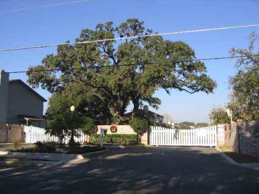 front view of a house with a street