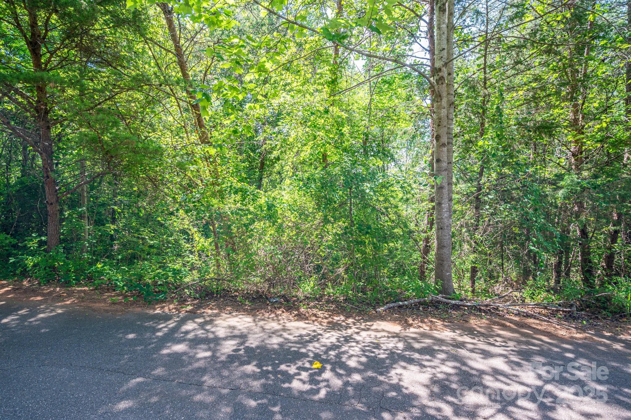 Lot #24 Deacons Rdg Drive Rutherfordton, NC 28139 - Photo 3 of 15