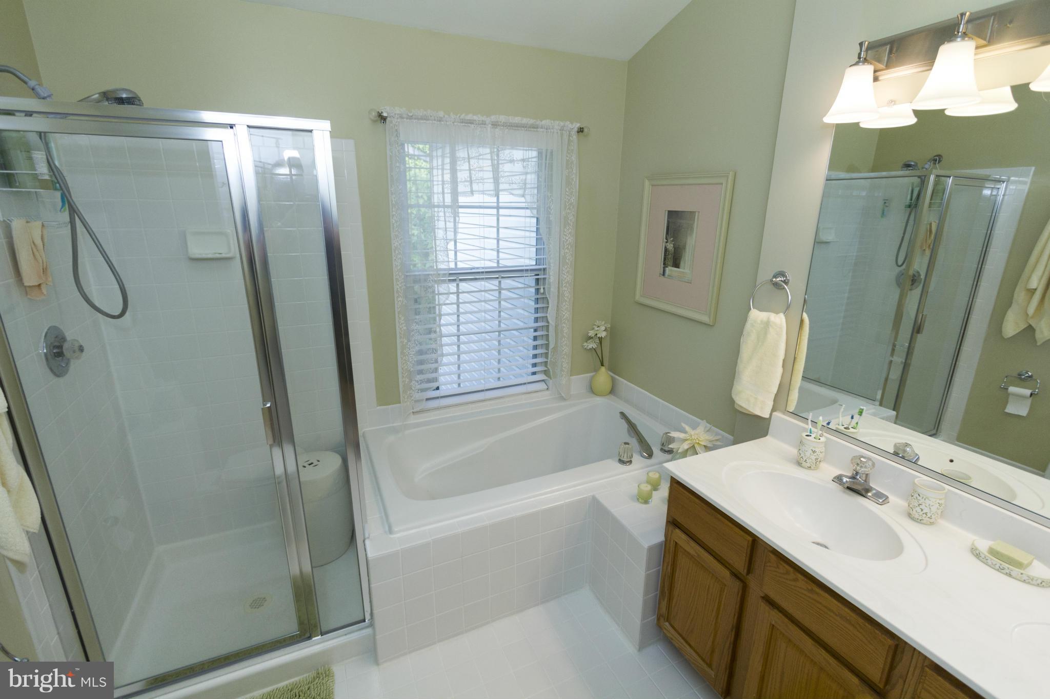 1245 Wild Hawthorn Way Reston, VA 20194 - Photo 14 of 22 Bath (Master)