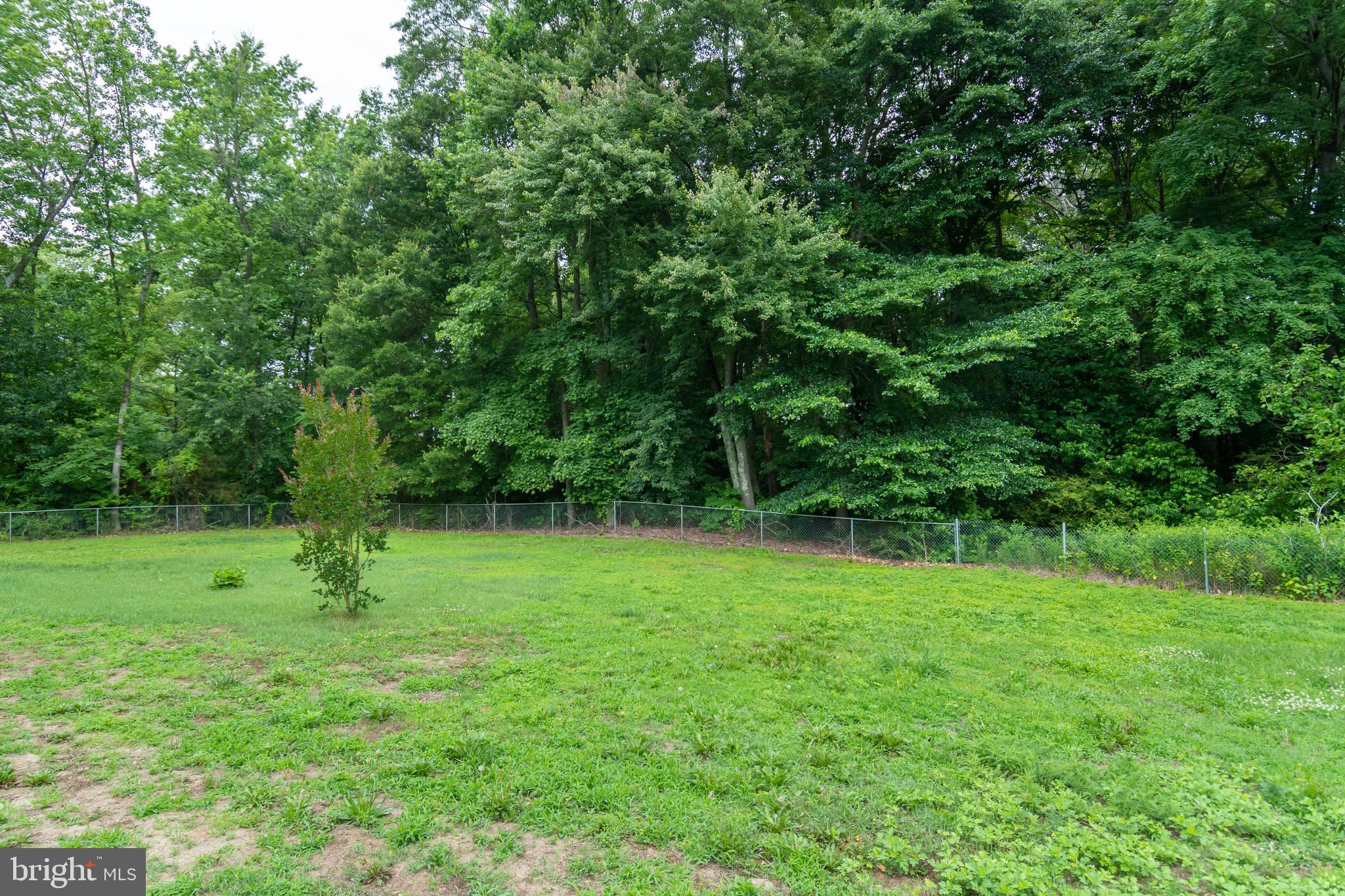 2771 McGinnes Road Crumpton, MD 21628 - Photo 9 of 30 Gallery Image 9