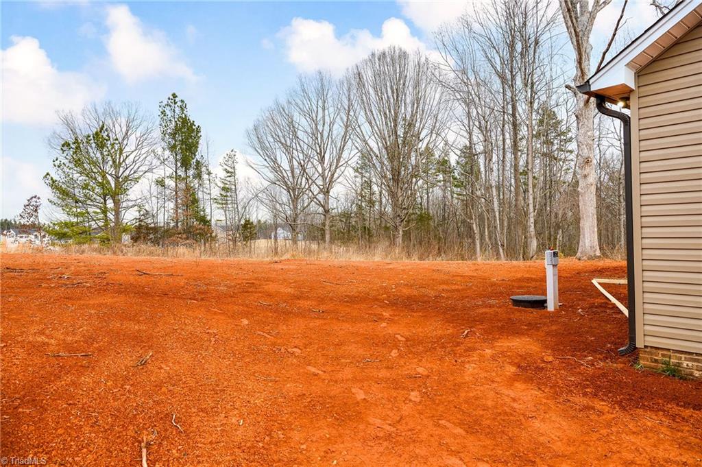 191 Snapdragon Place Lexington, NC 27295 - Photo 29 of 30