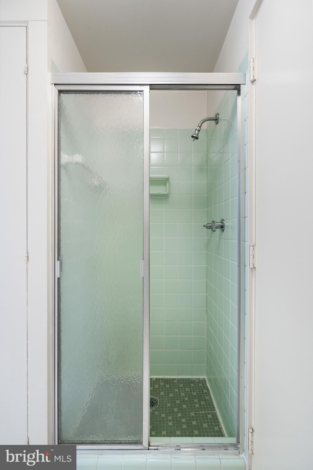 7316 Brightside Road Baltimore, MD 21212 - Photo 22 of 46 Ceramic shower stall in 1st floor bath.