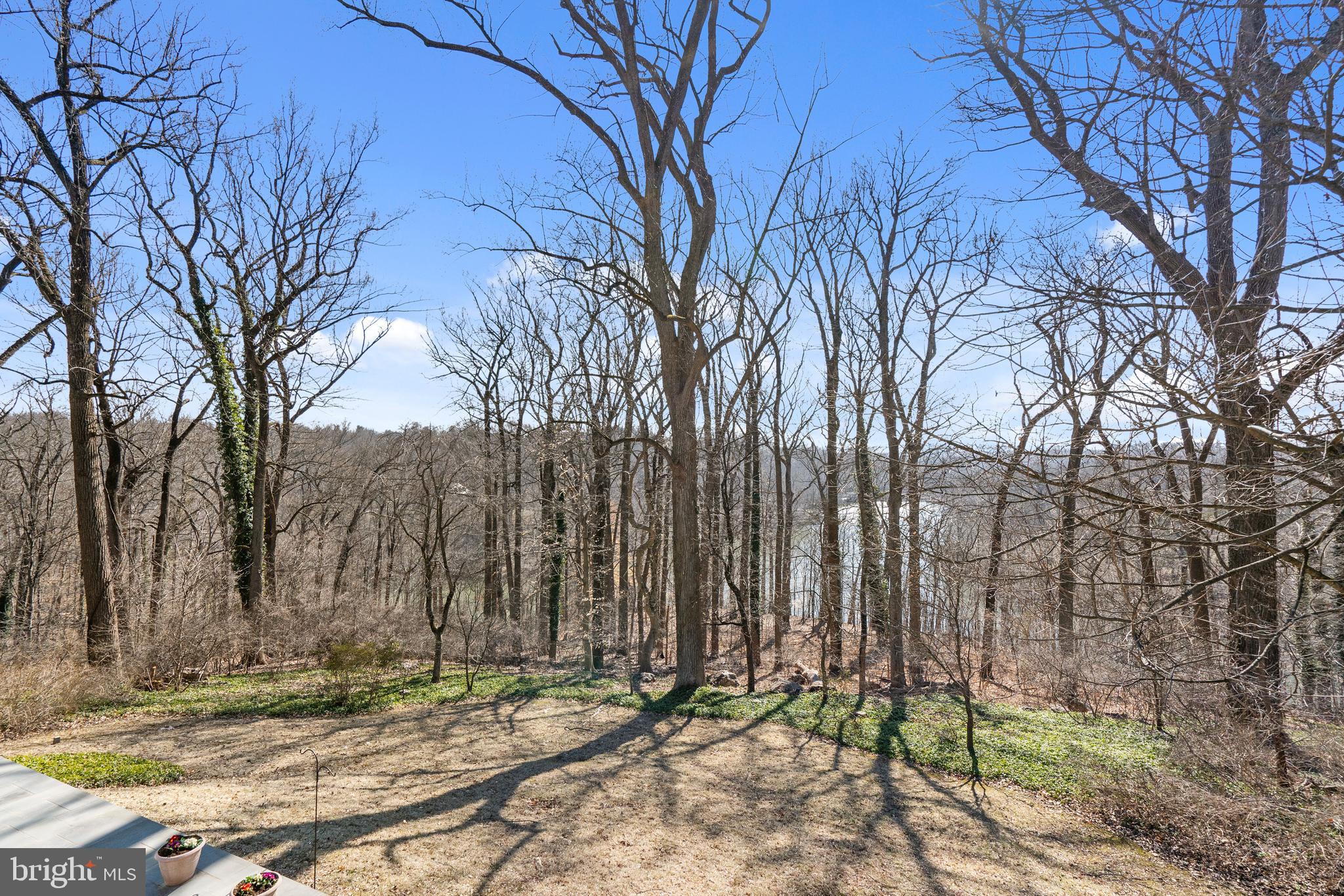 7316 Brightside Road Baltimore, MD 21212 - Photo 45 of 46 Lake Roland Reservoir from the patio.