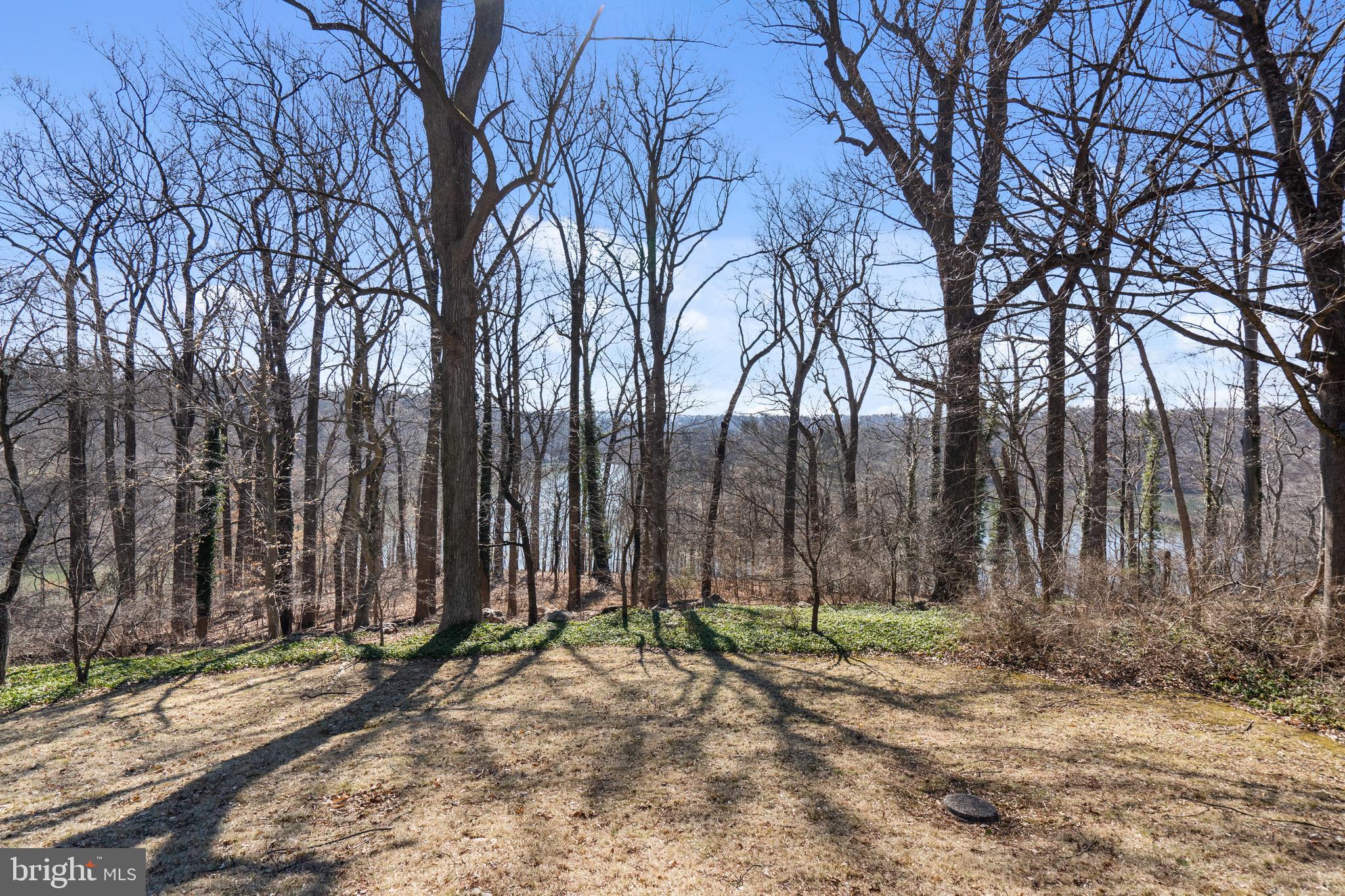 7316 Brightside Road Baltimore, MD 21212 - Photo 46 of 46 View of the lake from rear of the home.