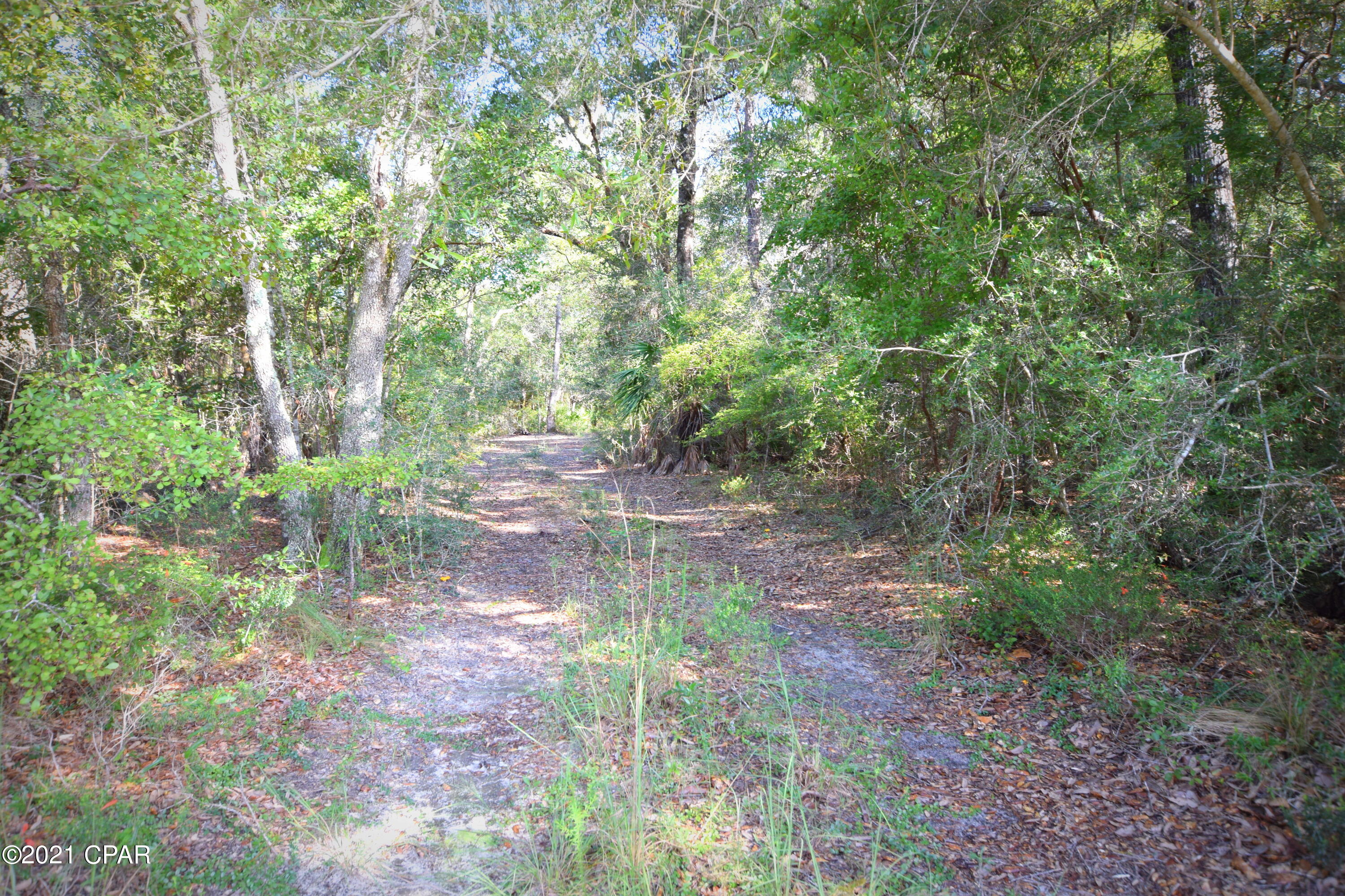 Xxx Crews Lake Road Ebro, FL 32437 - Photo 3 of 3 Gallery Image 3