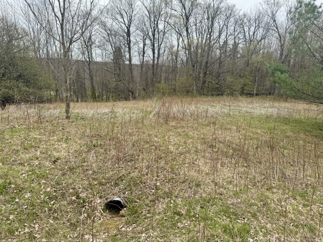 Lot 4 Shaver Hill Road Meridale, NY 13806 - Photo 42 of 44