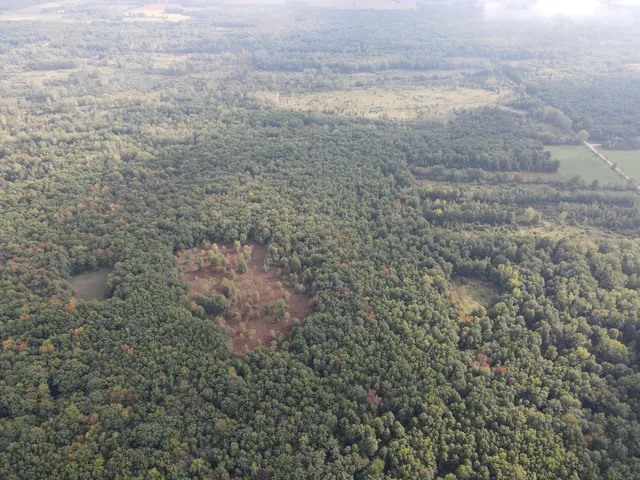 $539,000 | -vl South Mason Road, Ashley, MI 48806