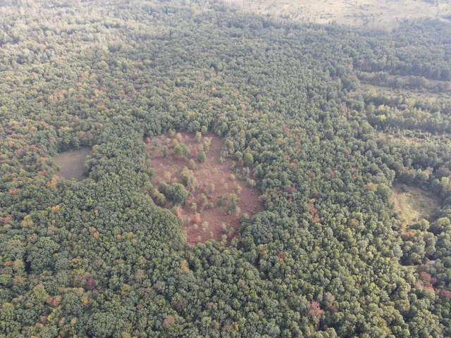 $539,000 | -vl South Mason Road, Ashley, MI 48806