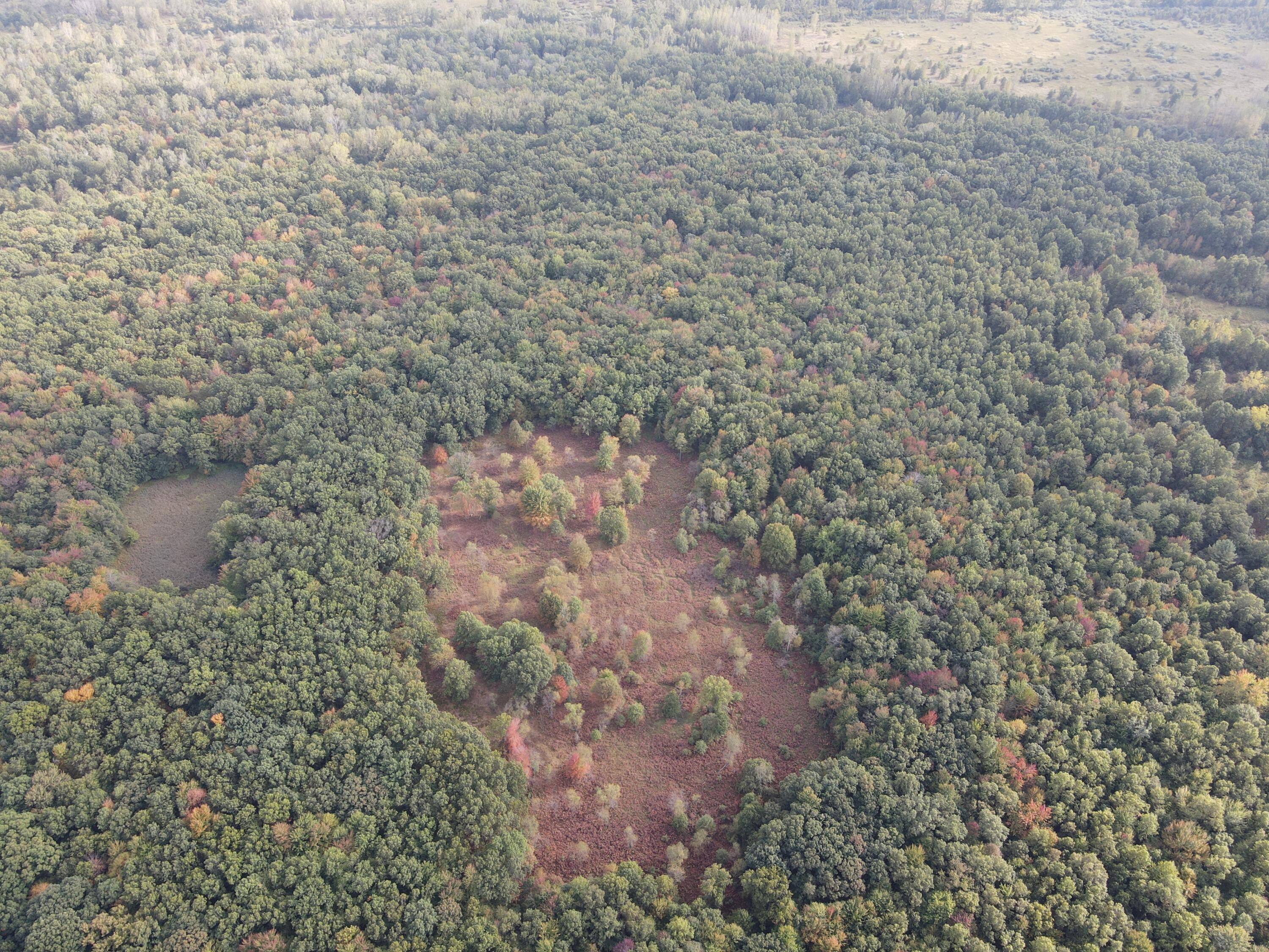 -vl South Mason Road Ashley, MI 48806 - Photo 14 of 44 DJI_0721