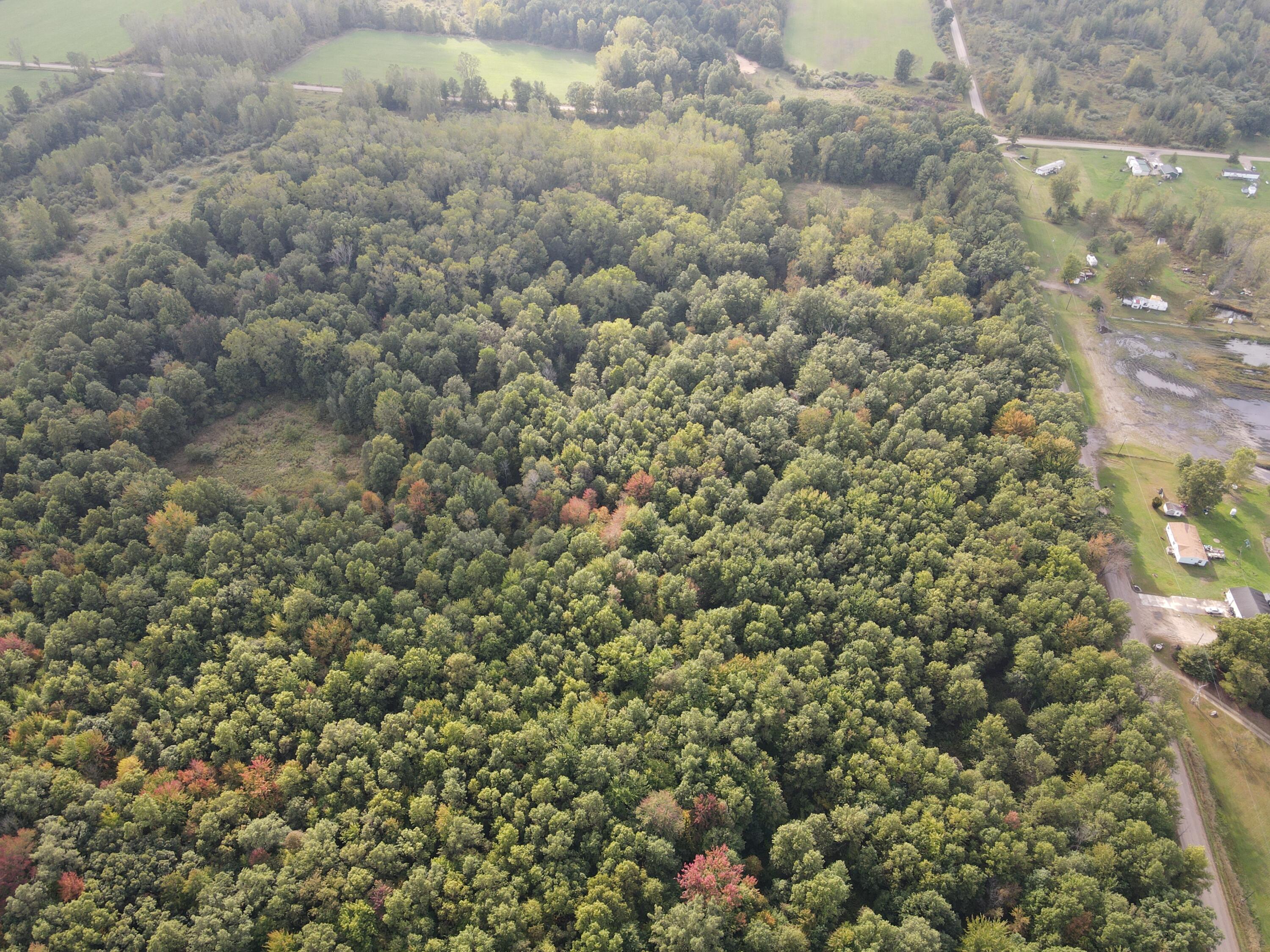 -vl South Mason Road Ashley, MI 48806 - Photo 15 of 44 DJI_0723