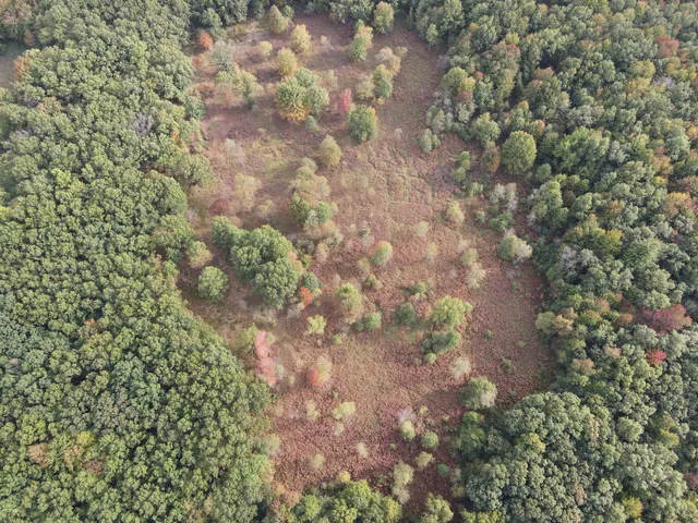 $539,000 | -vl South Mason Road, Ashley, MI 48806