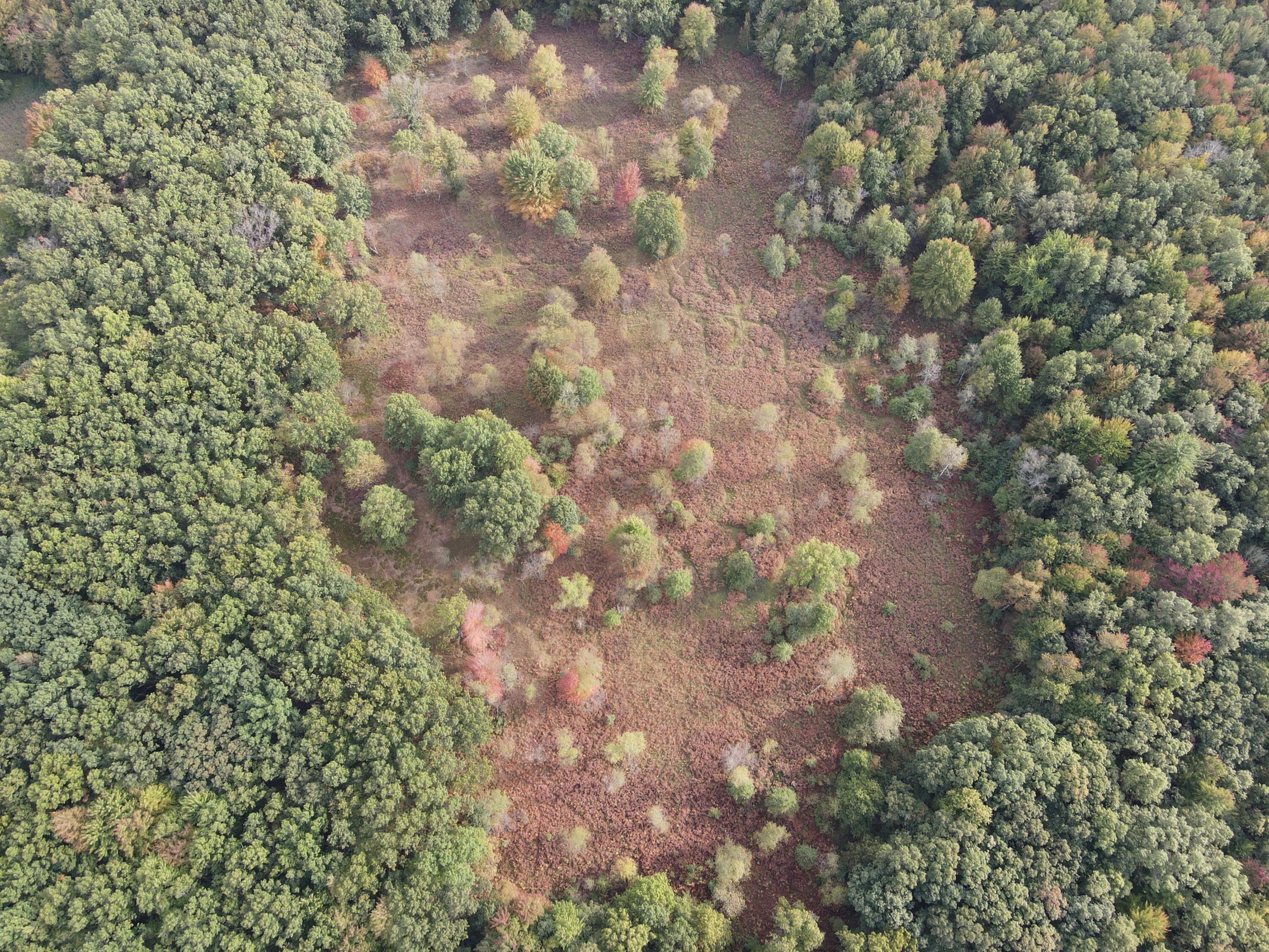 -vl South Mason Road Ashley, MI 48806 - Photo 16 of 44 DJI_0724