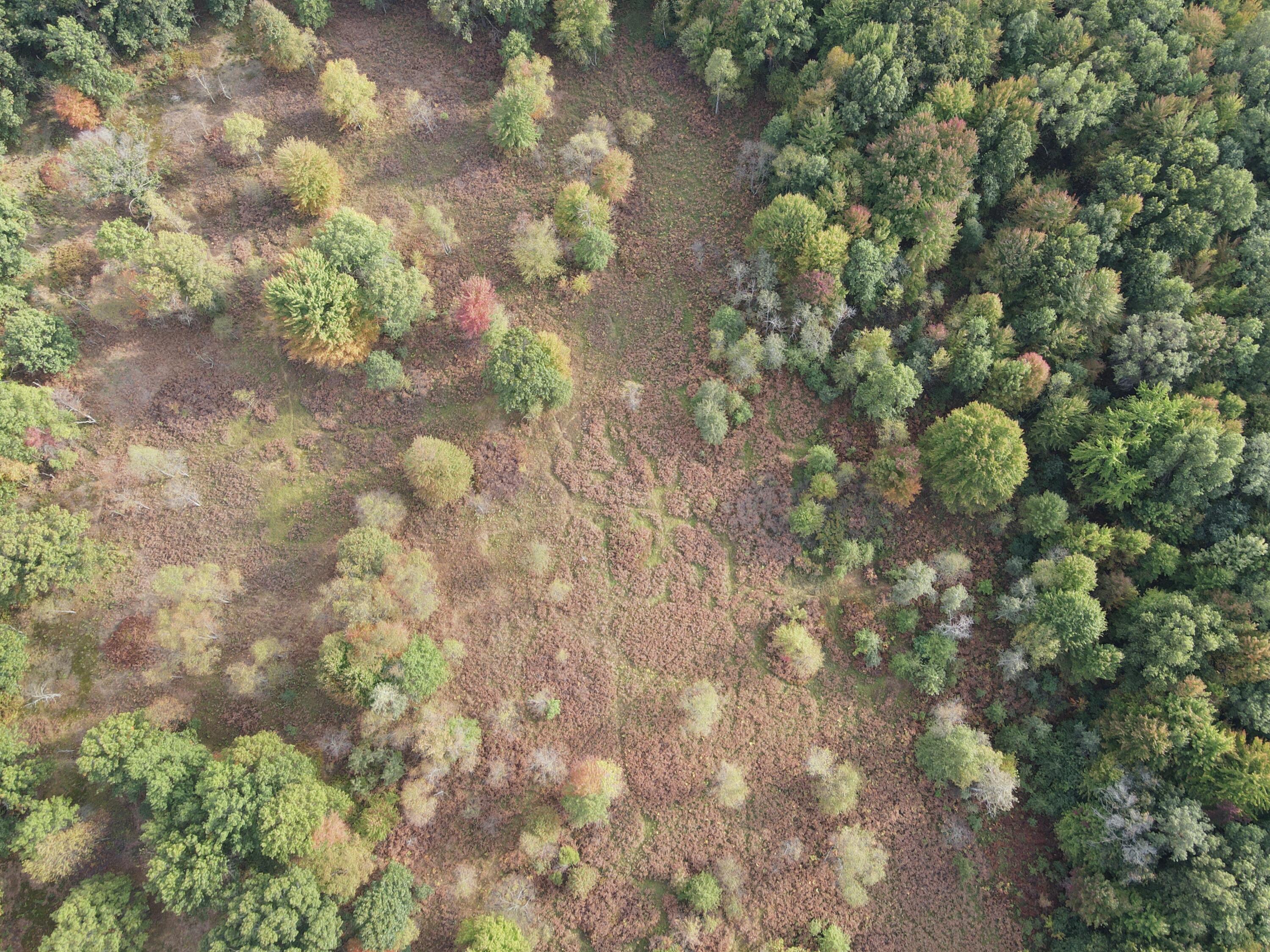 -vl South Mason Road Ashley, MI 48806 - Photo 17 of 44 DJI_0725