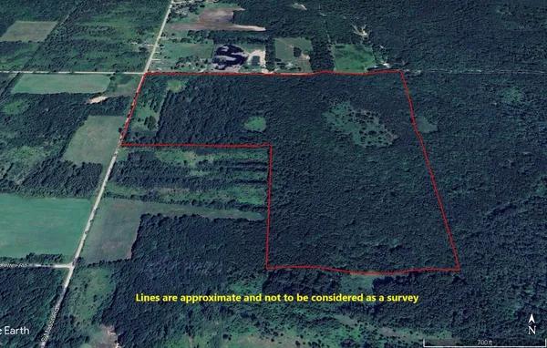 $539,000 | -vl South Mason Road, Ashley, MI 48806