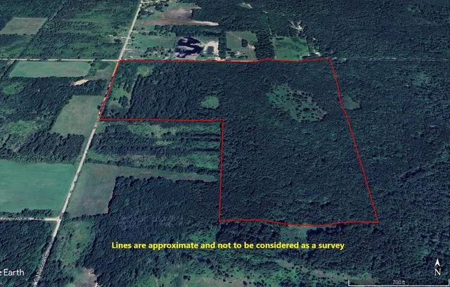 $539,000 | -vl South Mason Road, Ashley, MI 48806