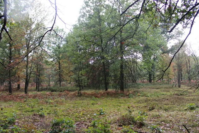 $539,000 | -vl South Mason Road, Ashley, MI 48806