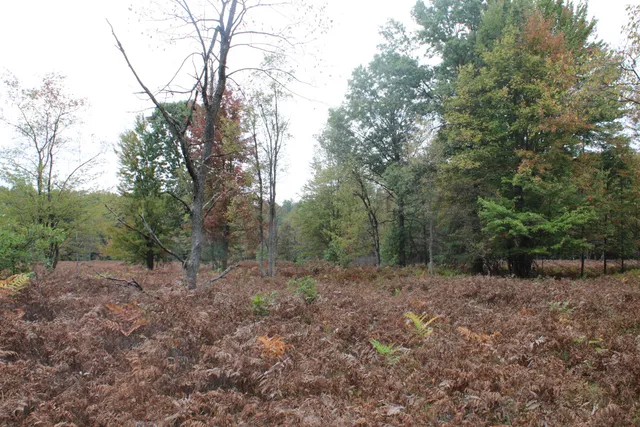 $539,000 | -vl South Mason Road, Ashley, MI 48806