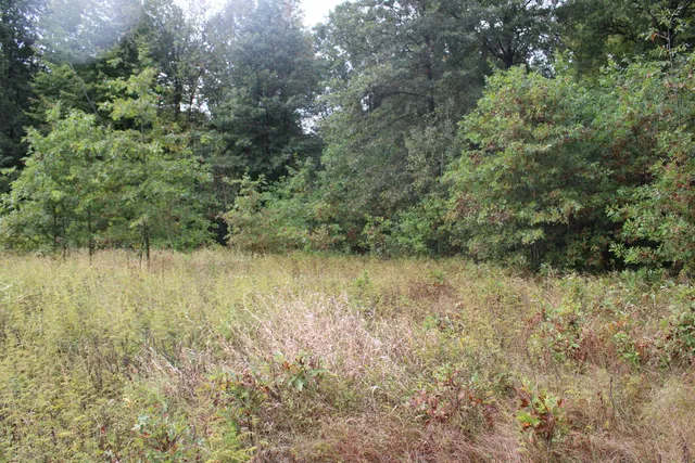 $539,000 | -vl South Mason Road, Ashley, MI 48806