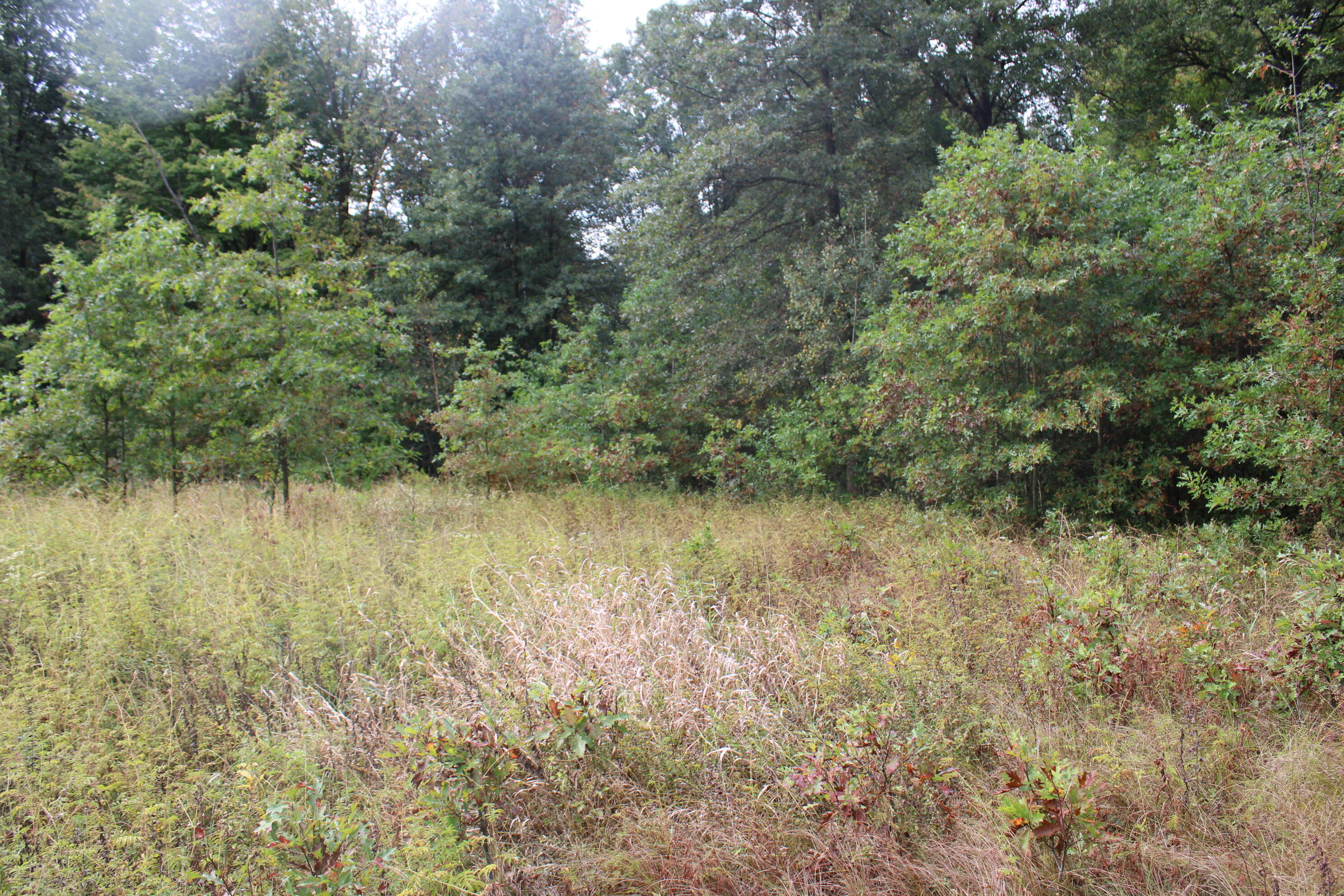 -vl South Mason Road Ashley, MI 48806 - Photo 29 of 44 IMG_5049