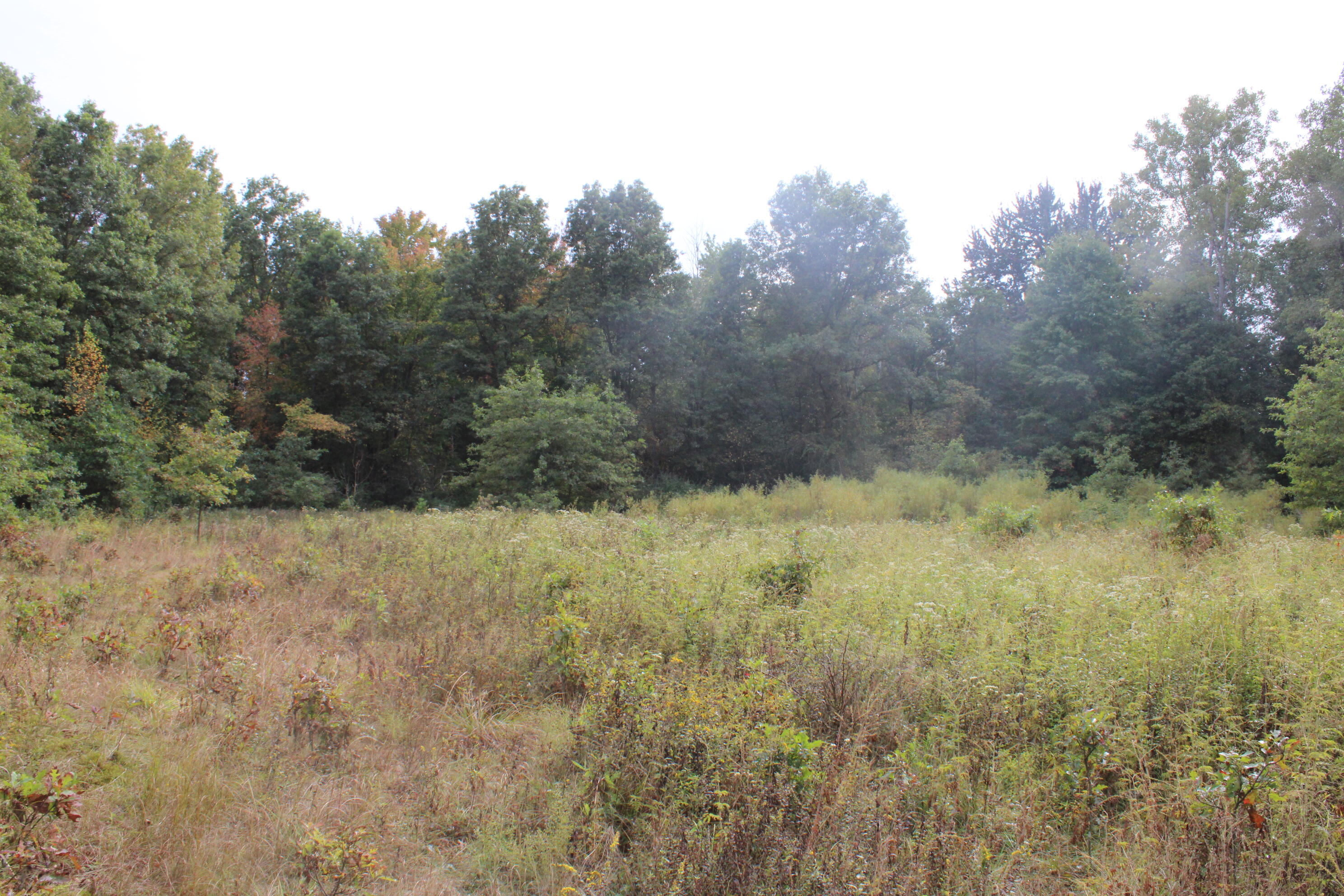 -vl South Mason Road Ashley, MI 48806 - Photo 30 of 44 IMG_5050