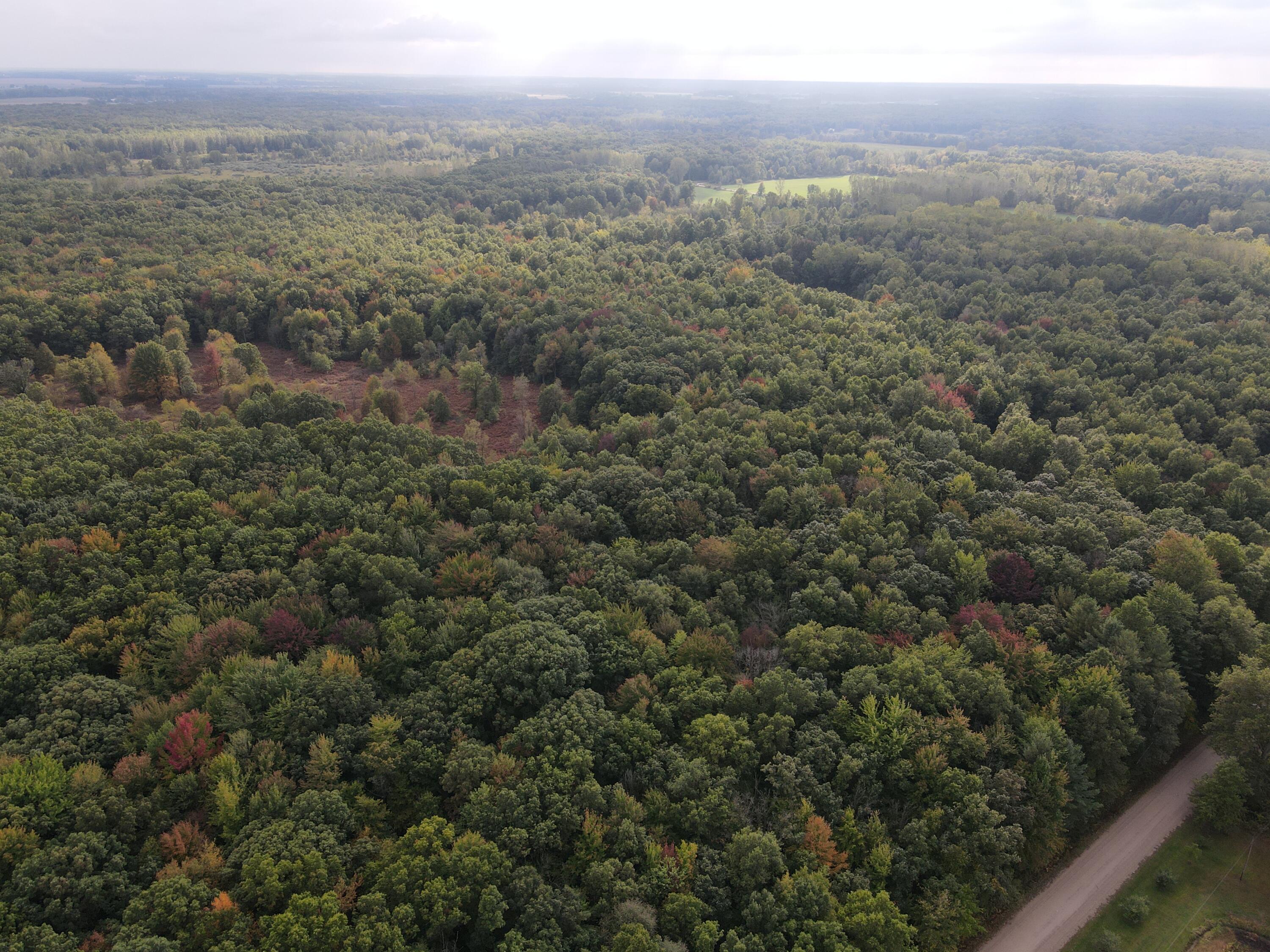 -vl South Mason Road Ashley, MI 48806 - Photo 3 of 44 DJI_0706