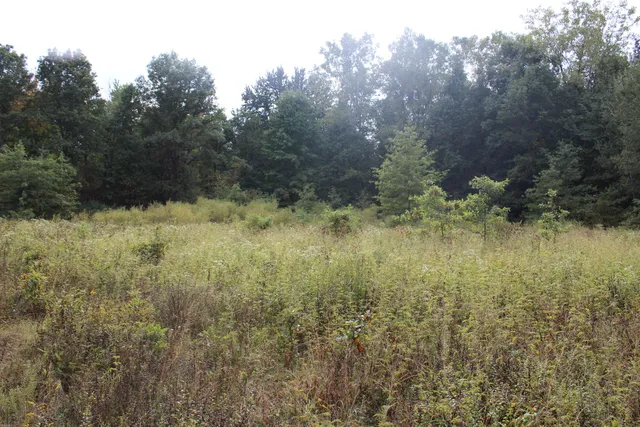 $539,000 | -vl South Mason Road, Ashley, MI 48806