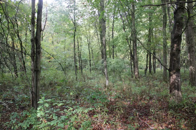 $539,000 | -vl South Mason Road, Ashley, MI 48806