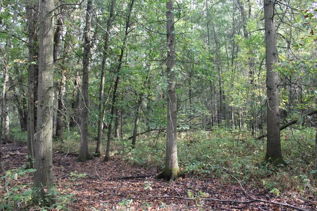 $539,000 | -vl South Mason Road, Ashley, MI 48806